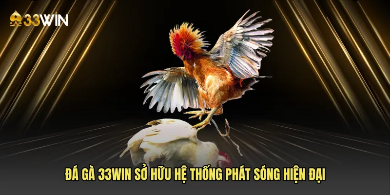 Đá gà 33win sở hữu hệ thống phát sóng hiện đại