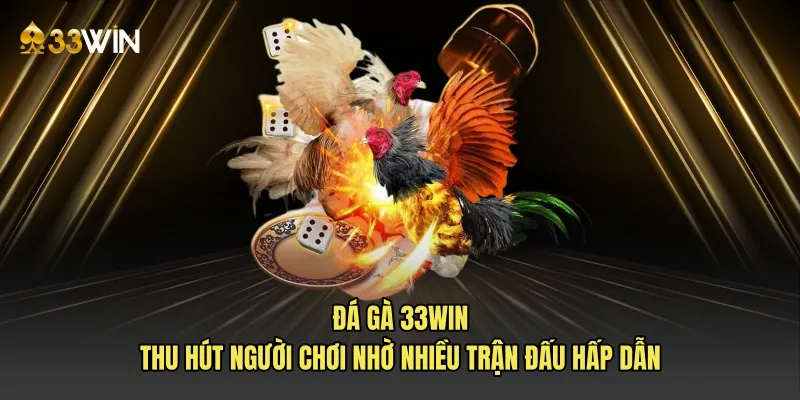 Đá gà 33win thu hút người chơi nhờ nhiều trận đấu hấp dẫn