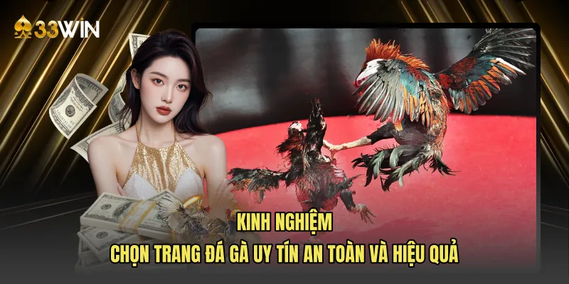Kinh nghiệm chọn trang đá gà uy tín an toàn và hiệu quả