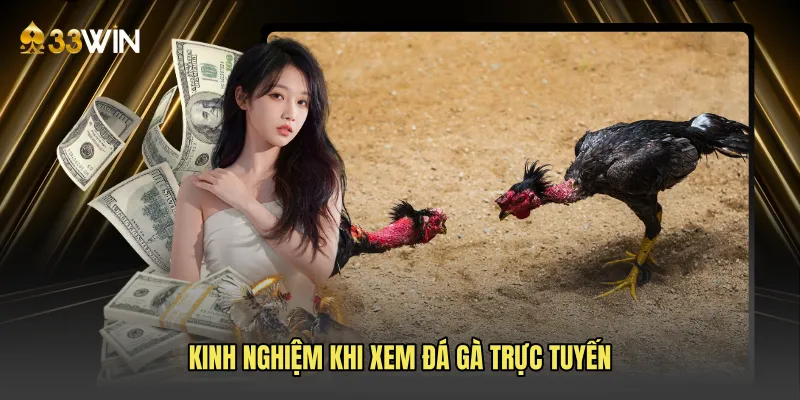 Kinh nghiệm khi xem đá gà trực tuyến
