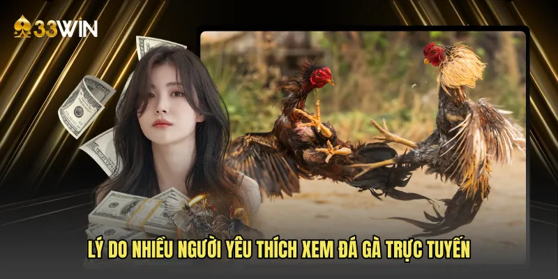 Lý do nhiều người yêu thích xem đá gà trực tuyến