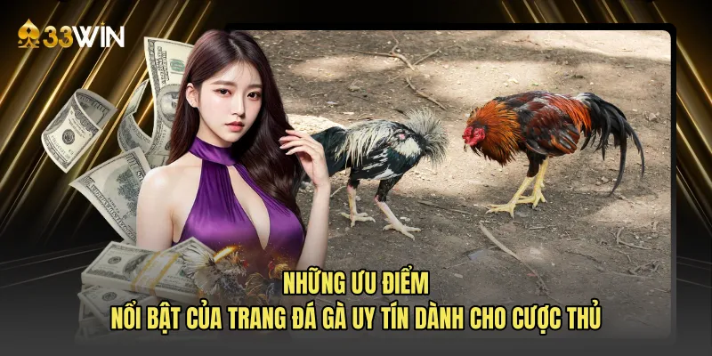 Những ưu điểm nổi bật của trang đá gà uy tín dành cho cược thủ