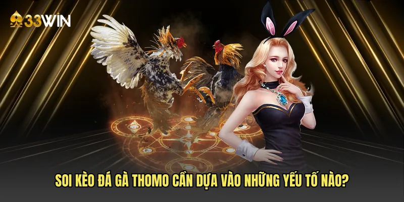 Soi kèo đá gà Thomo cần dựa vào những yếu tố nào?
