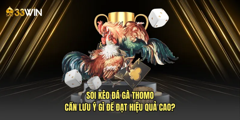 Soi kèo đá gà Thomo cần lưu ý gì để đạt hiệu quả cao?