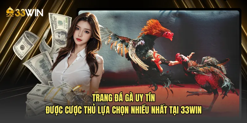 Trang đá gà uy tín được cược thủ lựa chọn nhiều nhất tại 33WIN