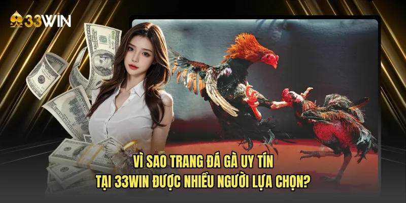 Vì sao trang đá gà uy tín tại 33WIN được nhiều người lựa chọn